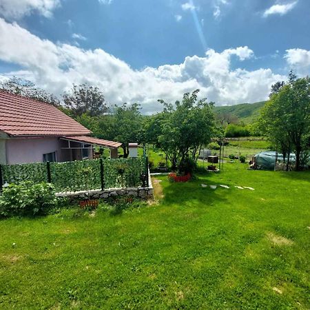 Village Flower Ivy Montenegro Nikšić المظهر الخارجي الصورة