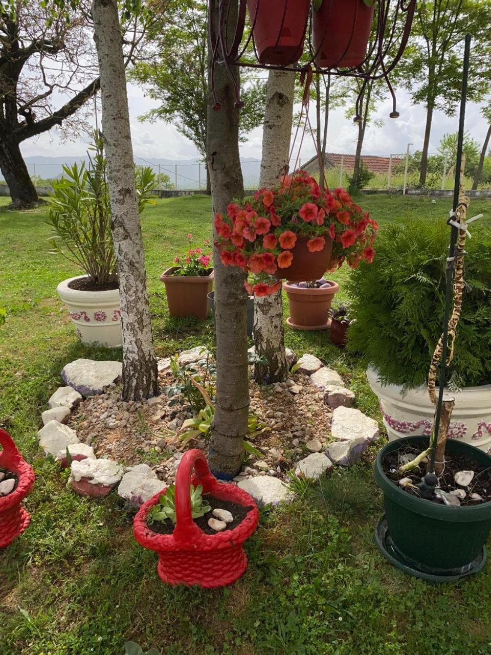 Village Flower Ivy Montenegro Nikšić المظهر الخارجي الصورة